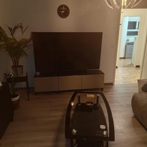 Schöne Wohnung mit grosse Terasse